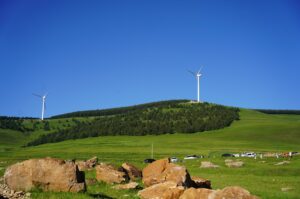 Ochrona środowiska w Niemczech – jak działa system i jakie obowiązki mają mieszkańcy?