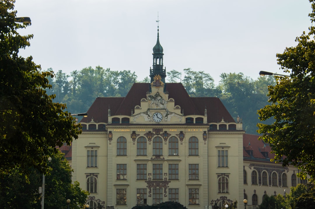 Co studiować w Niemczech? Najpopularniejsze kierunki wybierane przez studentów